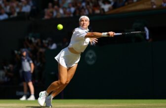 Karolina Muchova Undergoes “Small Surgery” – Tennis Now